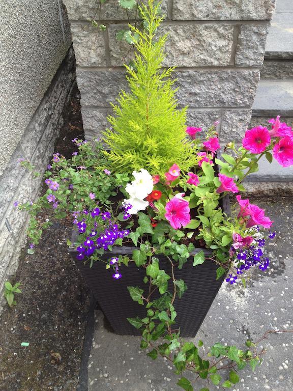 Rosehill Guest House Pitlochry Exterior foto